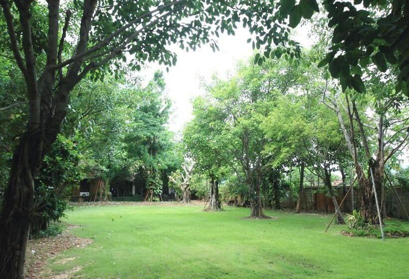 הוסטל Superkids Resort