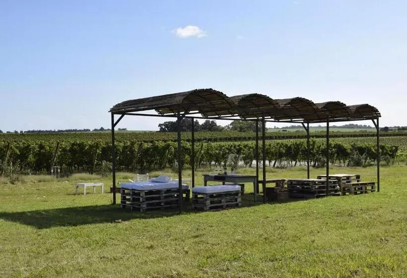 ホテル Casa De Aitona Bodega Zubizarreta