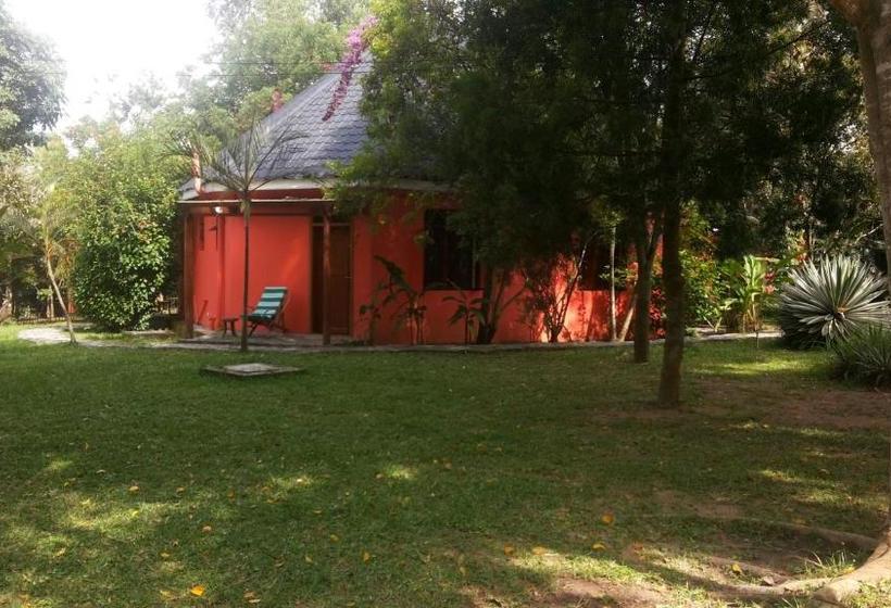 White Castle Hotel Arua