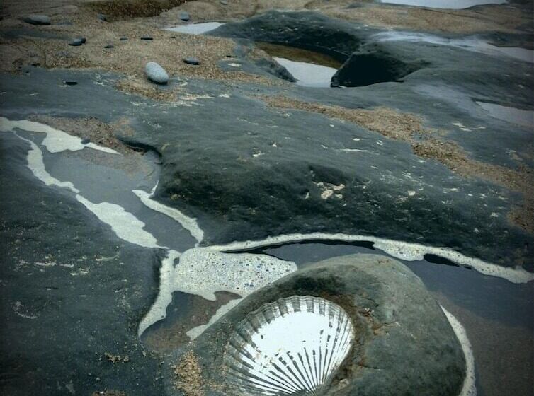 Admiral S Beach Retreat