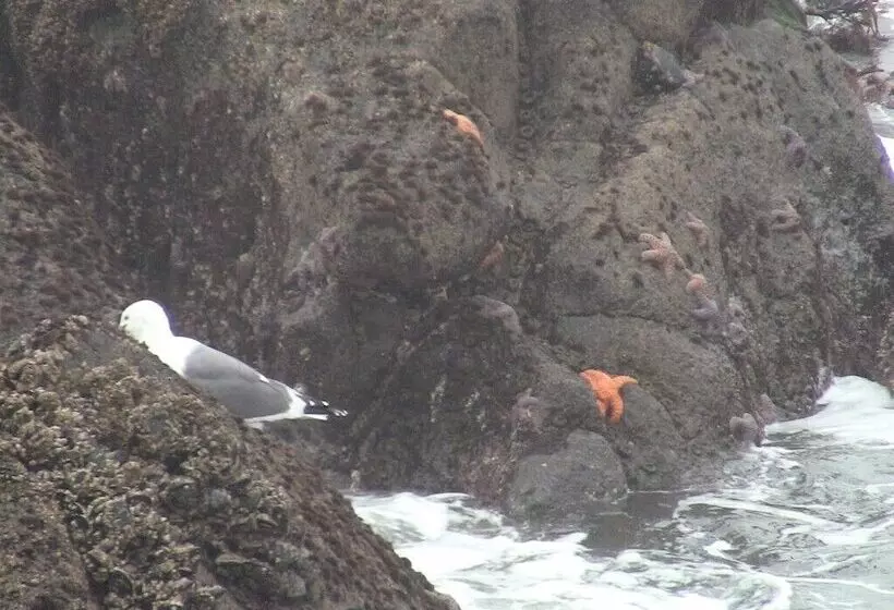 Admiral S Beach Retreat