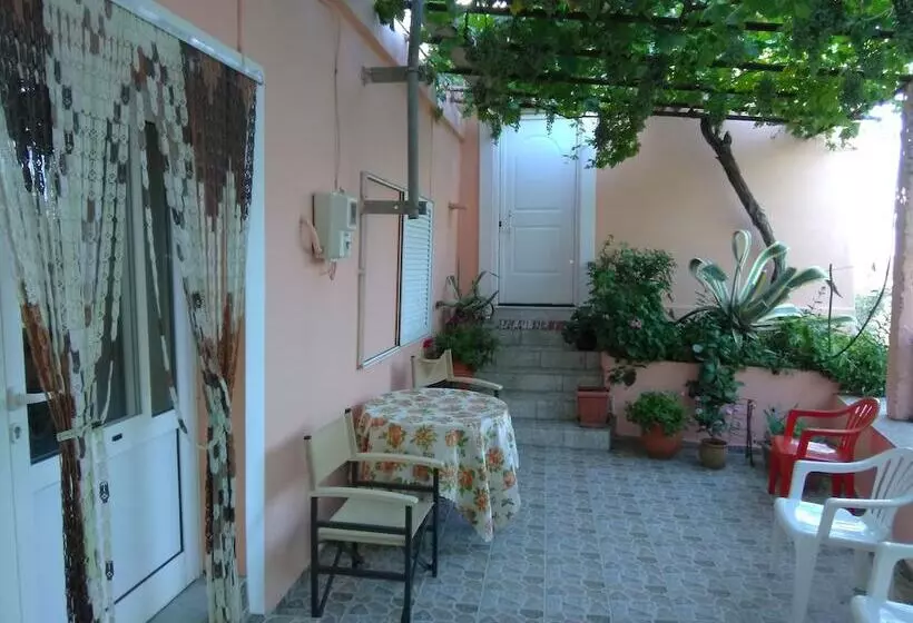 Garden Of Olive Trees
