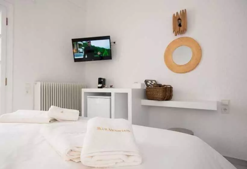 Pension Blue Mountain Guesthouse Arachova