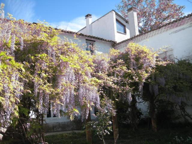 펜션 Grand Argence