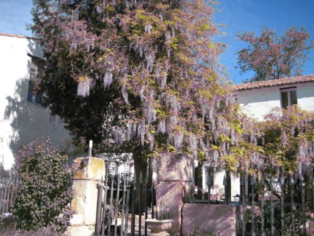 펜션 Grand Argence