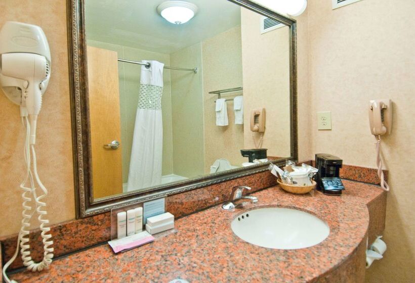 Hampton Inn Lafayette I 10