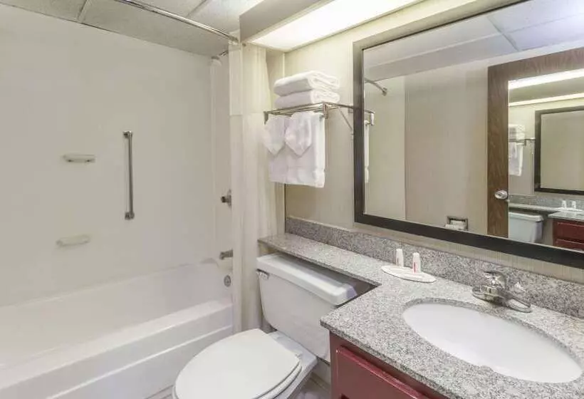 Отель Baymont By Wyndham Michigan City