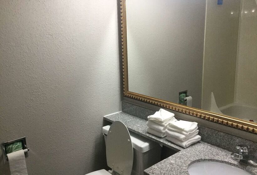 בית מלון כפרי Baymont By Wyndham Michigan City