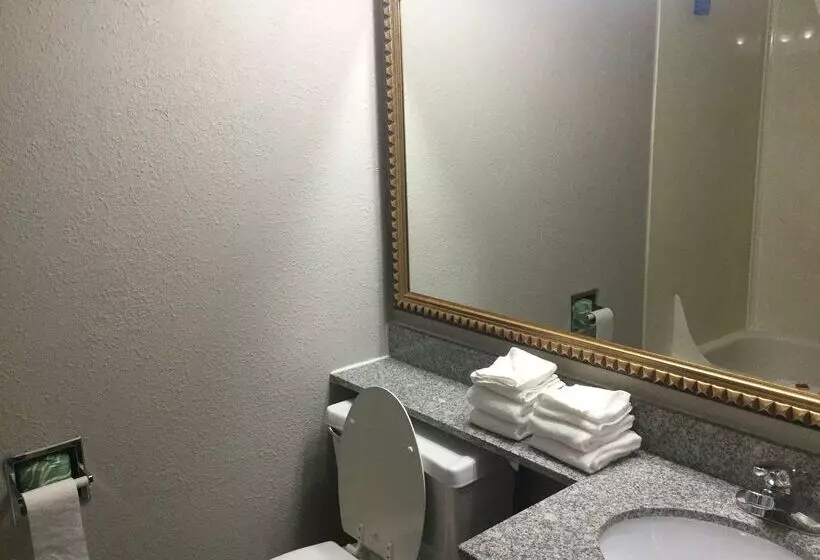 Отель Baymont By Wyndham Michigan City