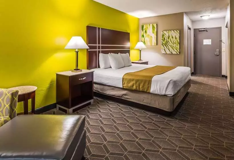 酒店 Best Western Auburn/opelika Inn