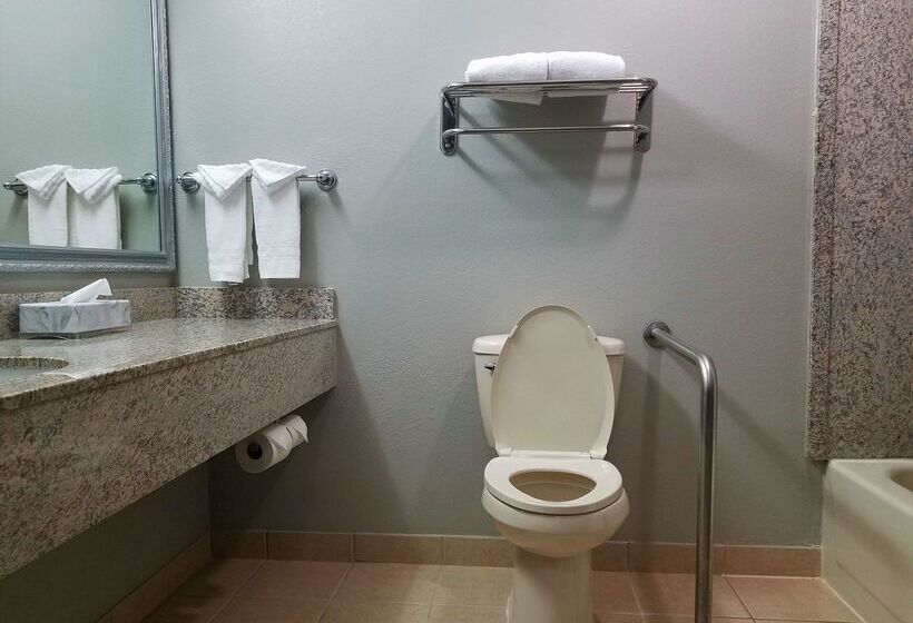 בית מלון כפרי Best Western Auburn/opelika Inn