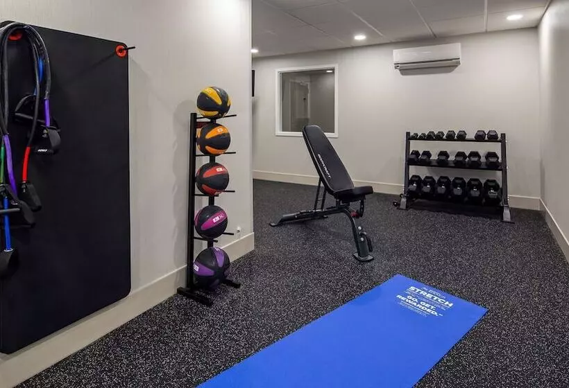 Отель Best Western Hampshire Inn & Suites