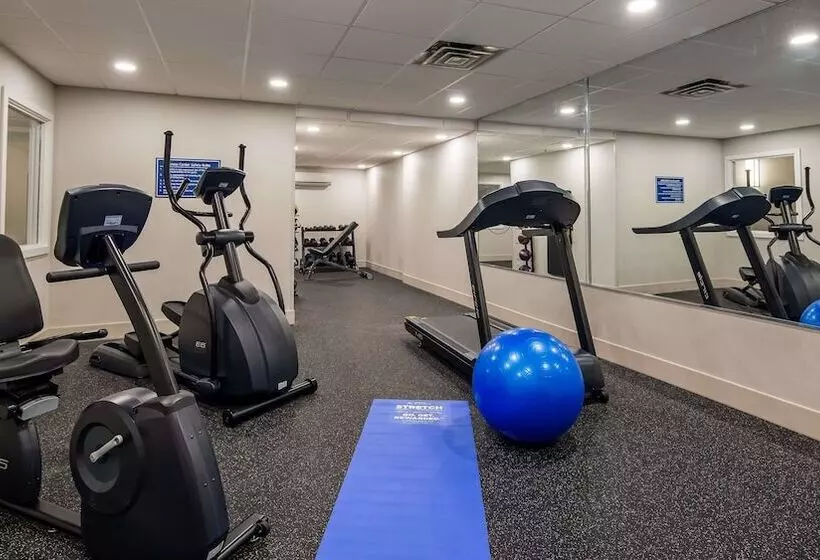 Отель Best Western Hampshire Inn & Suites