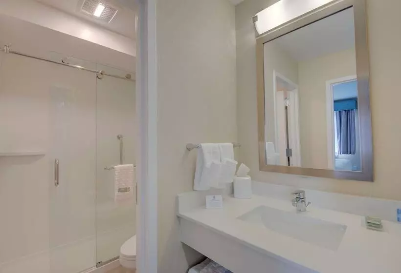 Отель Best Western Hampshire Inn & Suites