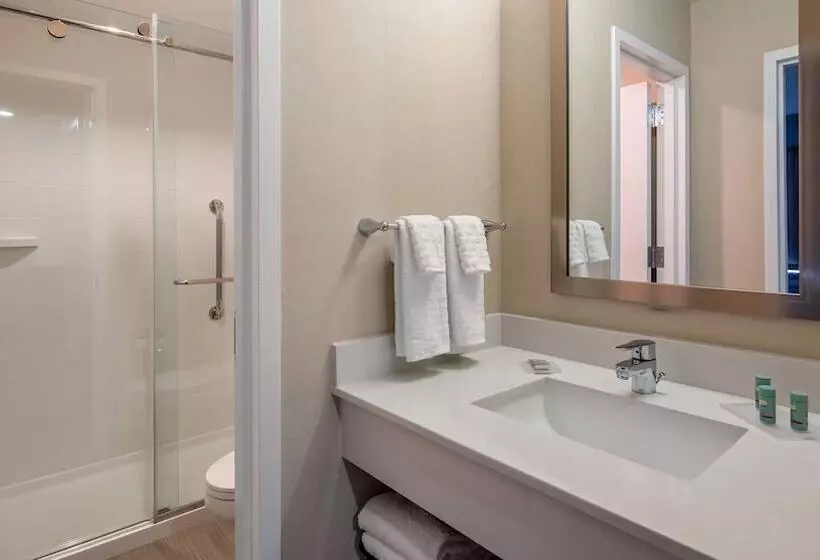 Отель Best Western Hampshire Inn & Suites