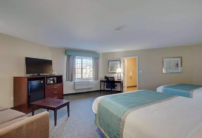 Отель Best Western Hampshire Inn & Suites