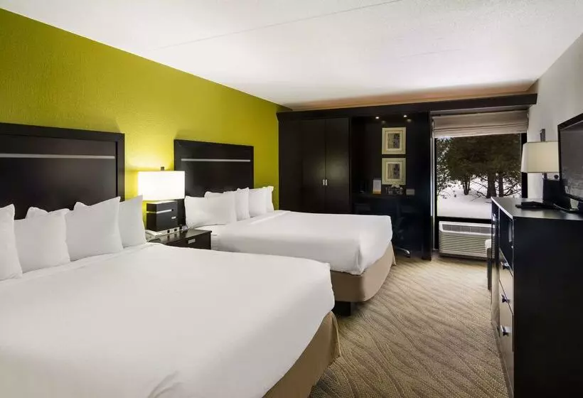 ホテル Comfort Inn