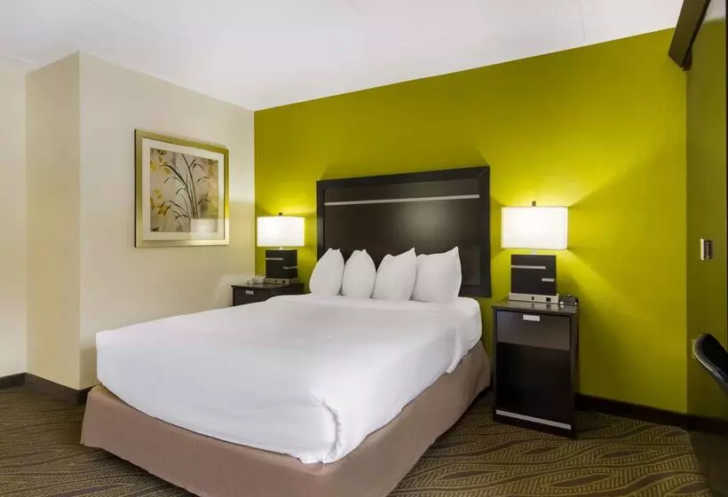 ホテル Comfort Inn