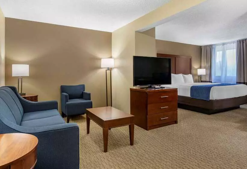 酒店 Comfort Inn Near Greenfield Village