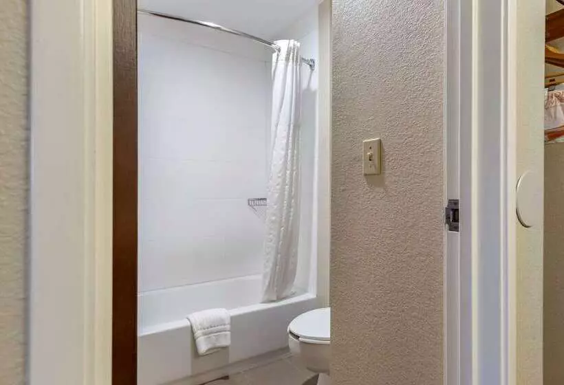 酒店 Comfort Inn Near Greenfield Village