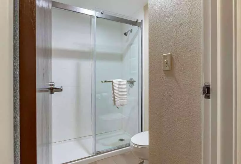 酒店 Comfort Inn Near Greenfield Village