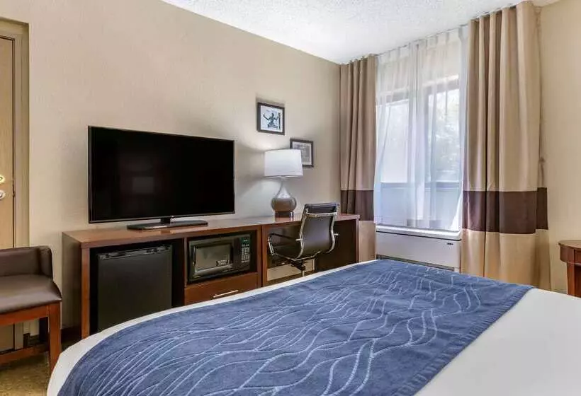 酒店 Comfort Inn Near Greenfield Village