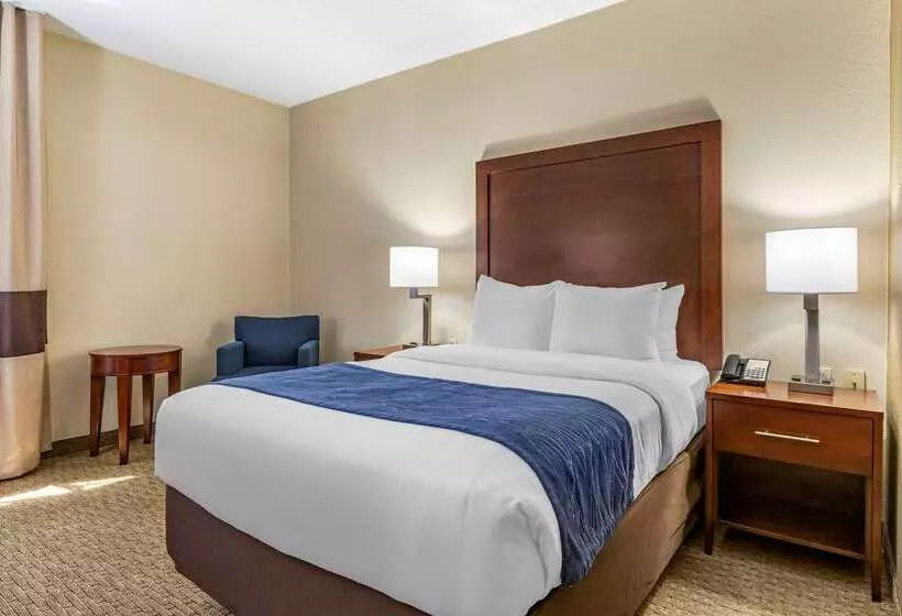 酒店 Comfort Inn Near Greenfield Village