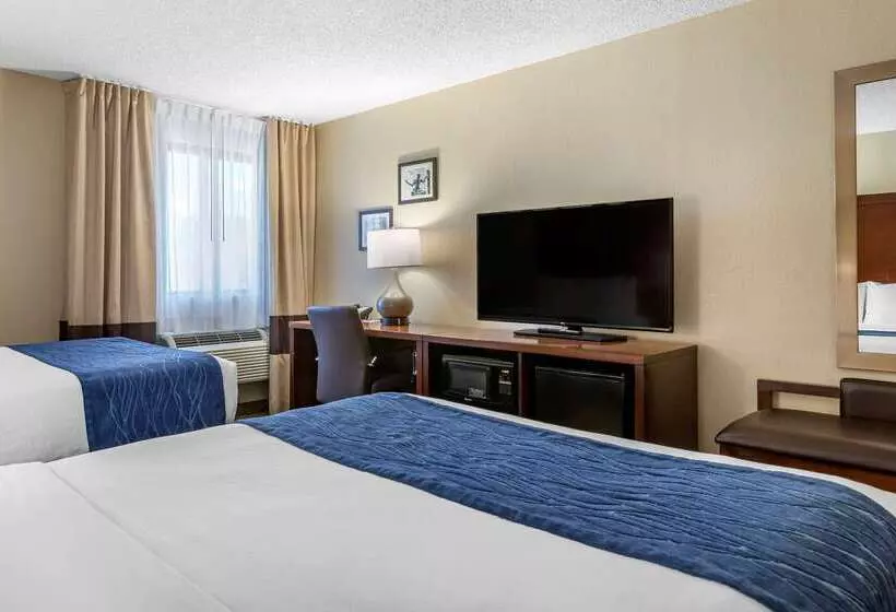 酒店 Comfort Inn Near Greenfield Village