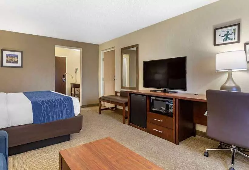 酒店 Comfort Inn Near Greenfield Village