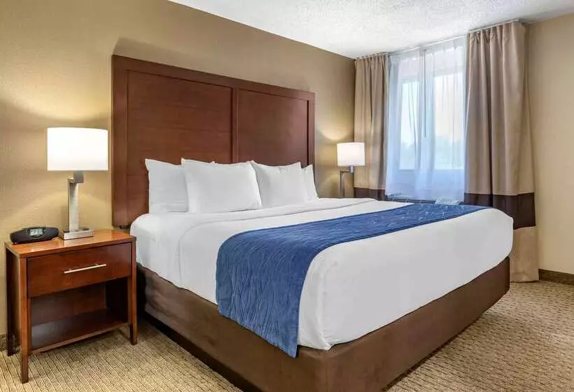 هتل Comfort Inn Near Greenfield Village