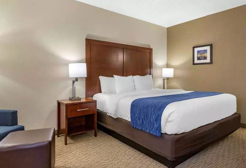 酒店 Comfort Inn Near Greenfield Village