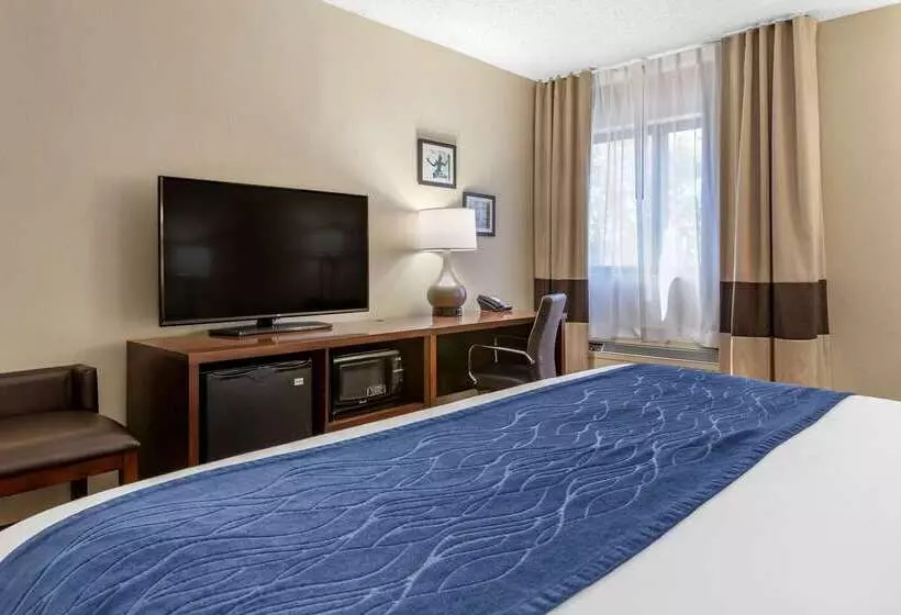 בית מלון כפרי Comfort Inn Near Greenfield Village