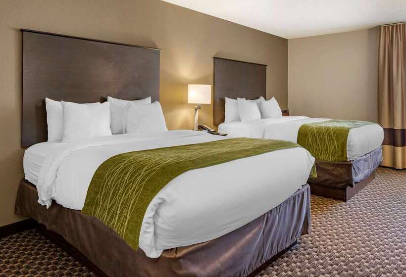 Szálloda Comfort Inn Wings Stadium