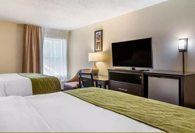 ホテル Comfort Inn Wings Stadium