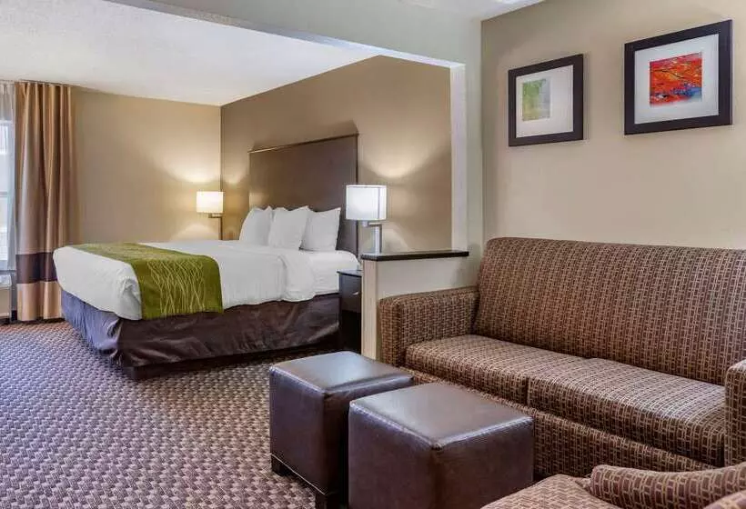 ホテル Comfort Inn Wings Stadium