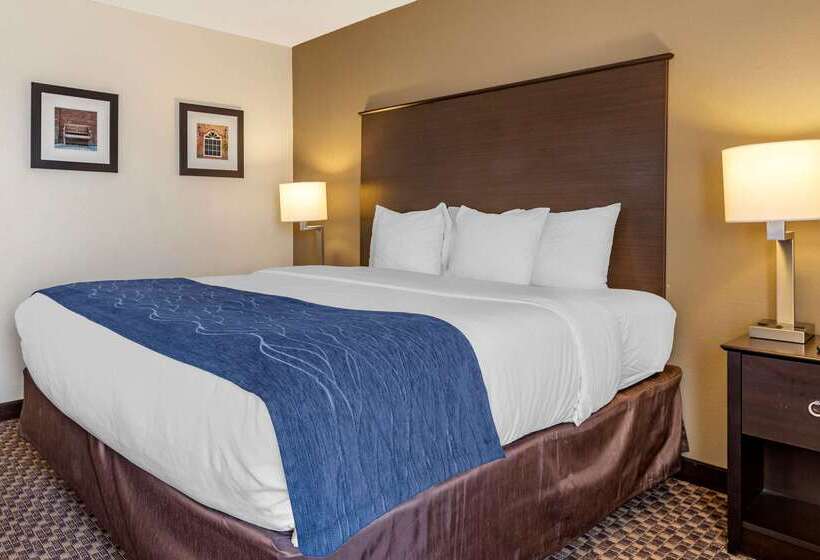 Szálloda Comfort Inn Wings Stadium