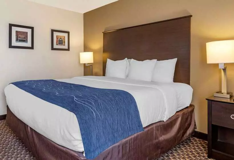 ホテル Comfort Inn Wings Stadium