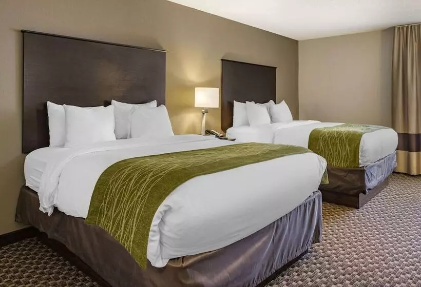 ホテル Comfort Inn Wings Stadium