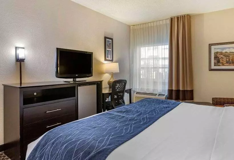 ホテル Comfort Inn Wings Stadium