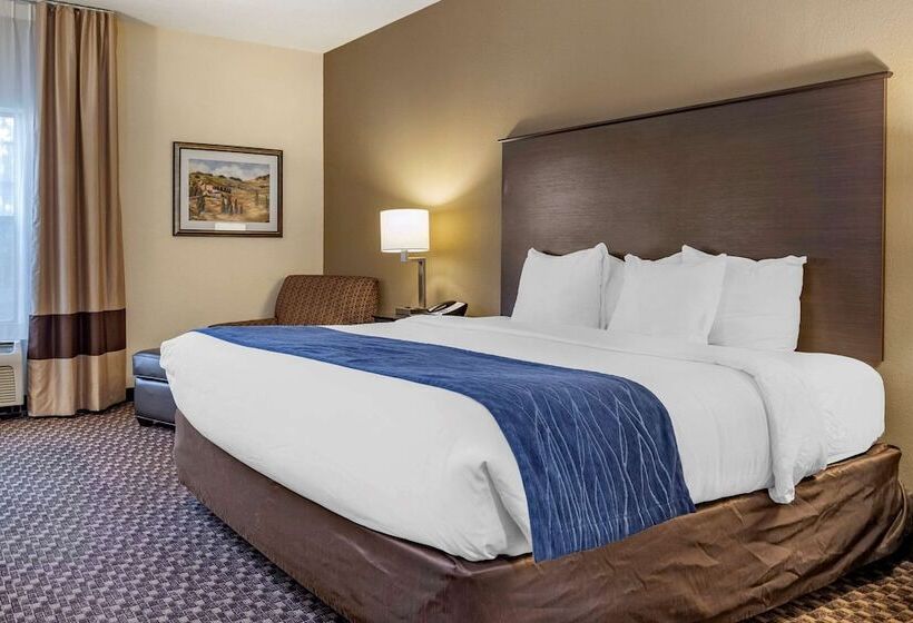 Szálloda Comfort Inn Wings Stadium