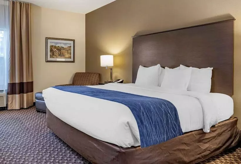 ホテル Comfort Inn Wings Stadium