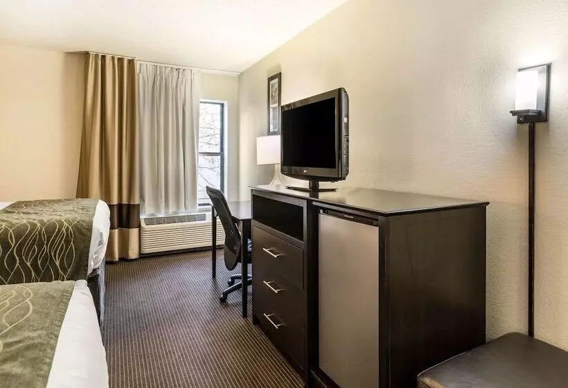 ホテル Comfort Inn Wings Stadium