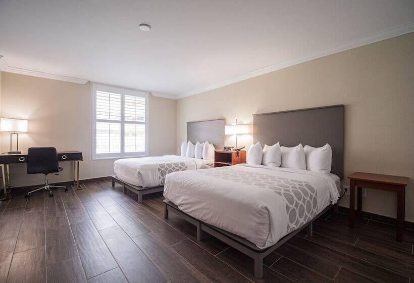 فندق Equus Inn I75