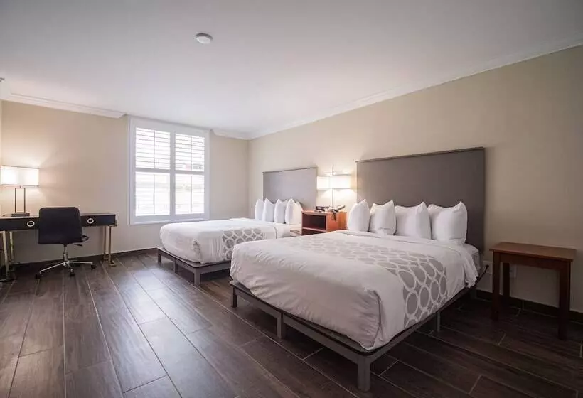 ホテル Equus Inn I75