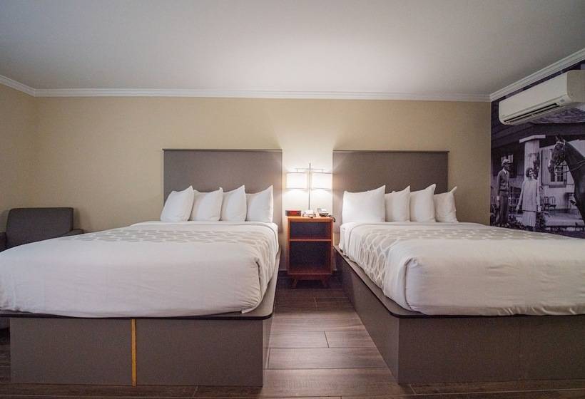 فندق Equus Inn I75