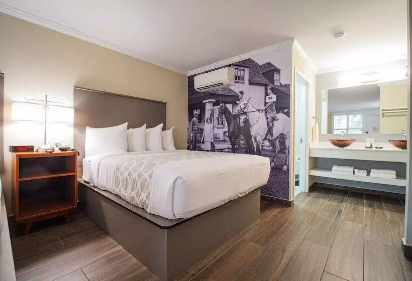 ホテル Equus Inn I75