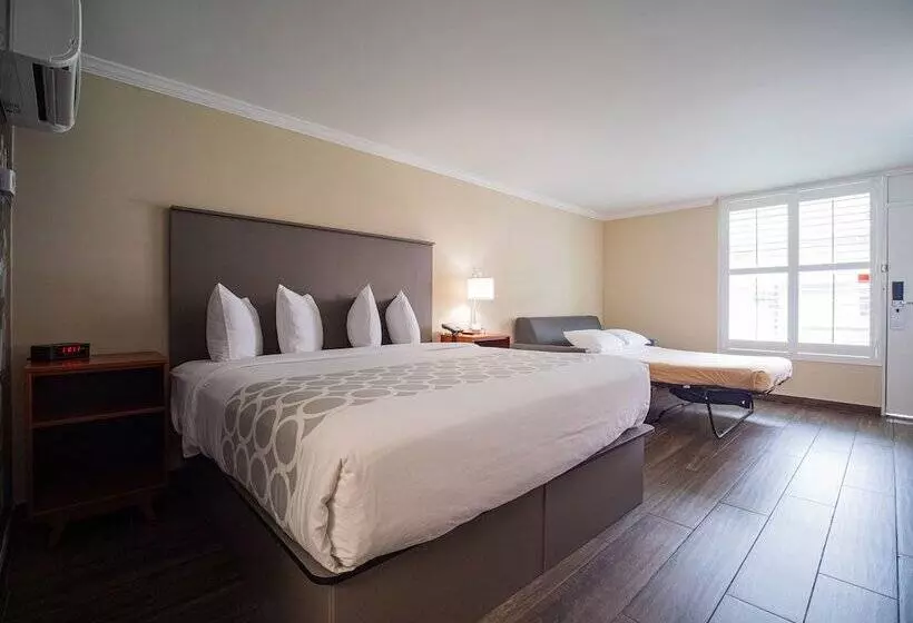 ホテル Equus Inn I75