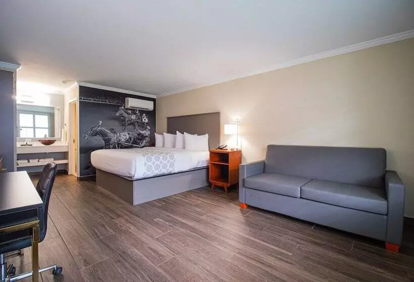 ホテル Equus Inn I75