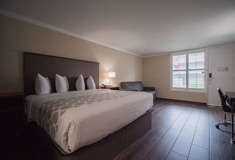 فندق Equus Inn I75