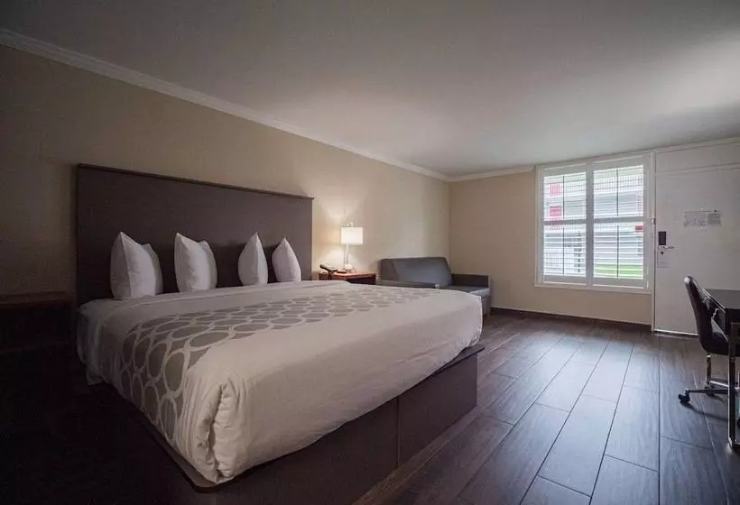 ホテル Equus Inn I75